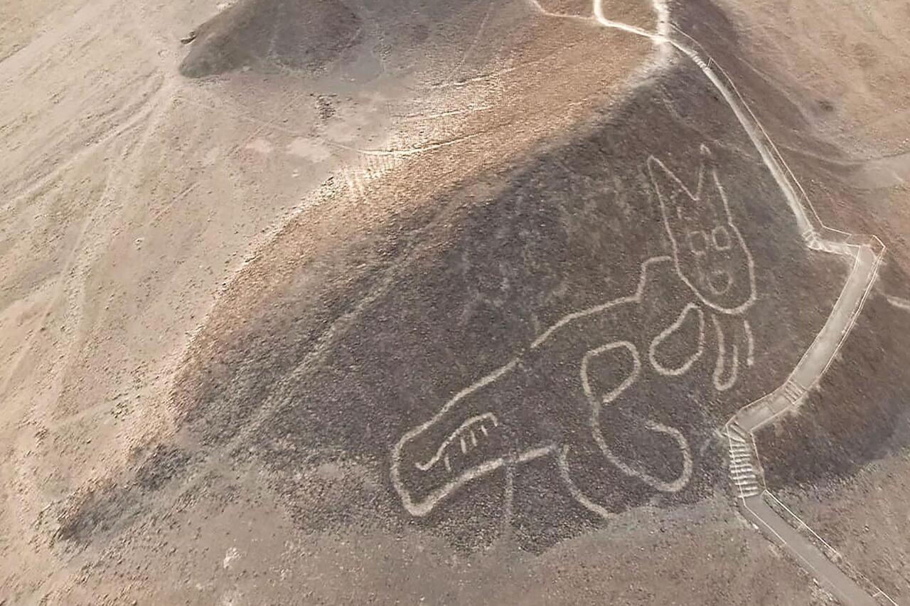 В Перу нашли древние рисунки с кошками