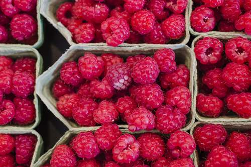 Диетолог назвала малину эффективной для похудения