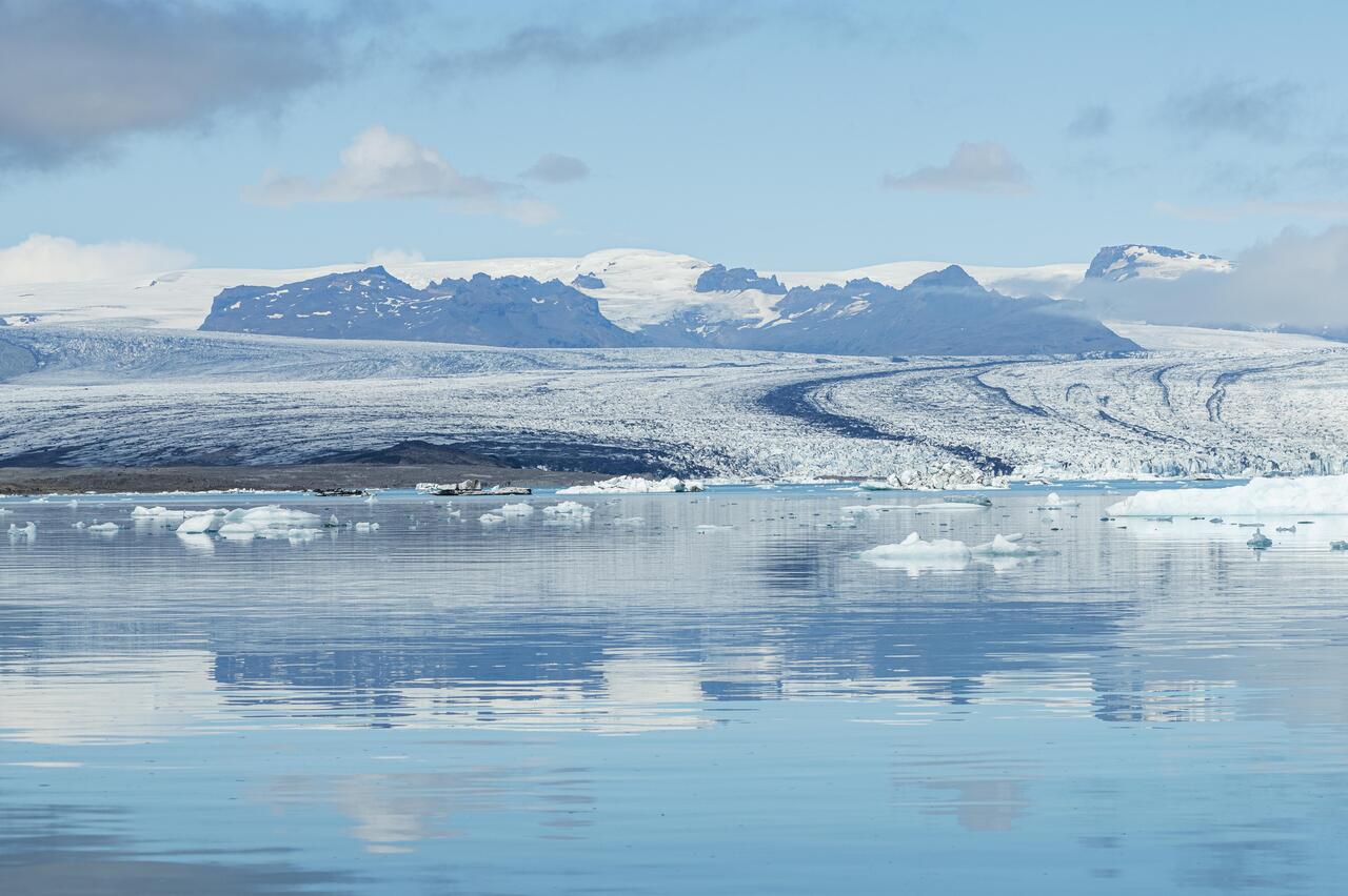 Шельфовые ледники Гренландии потеряли треть своего объема