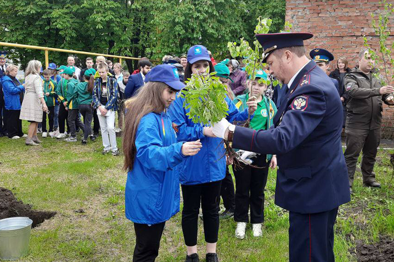 Более 1000 деревьев высадят школьники России в рамках премии «Экология — дело каждого»