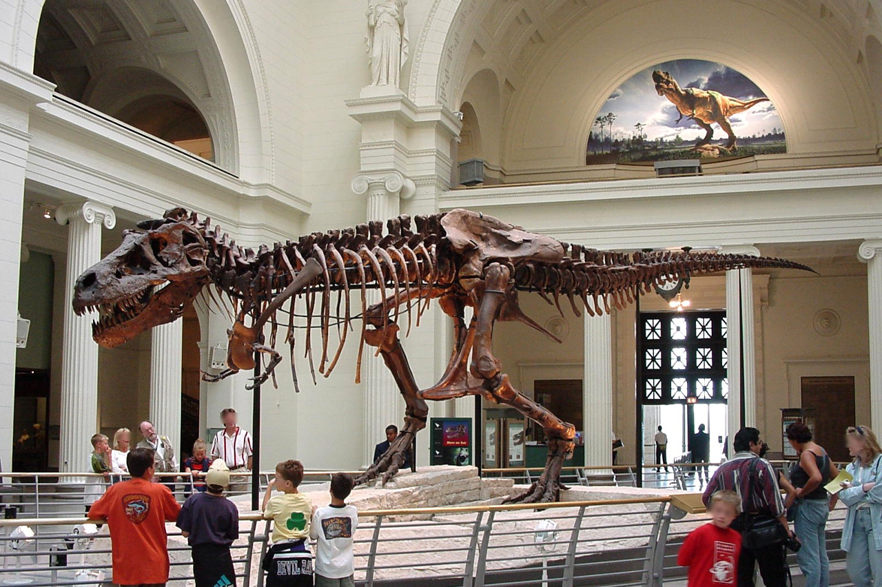 В Великобритании обнаружили останки огромного ихтиозавра